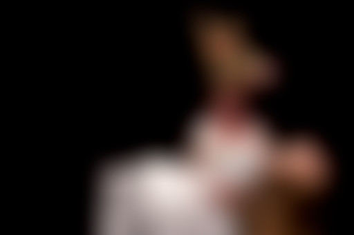 Scène Ouverte // Mettre en scène les classiques //...