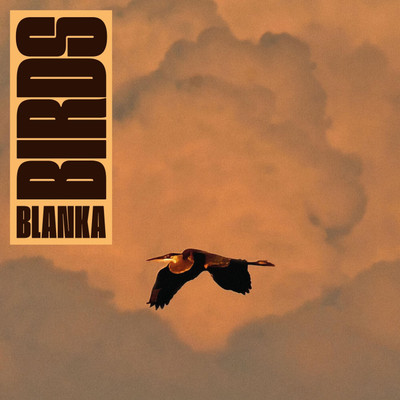 FC Avengers #13: Blanka // 07.05.2024 episode artwork