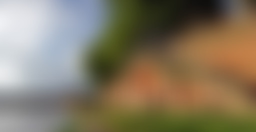 Mappemonde : Toulouse