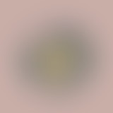 Episode 10 :  Energie et Ecologie