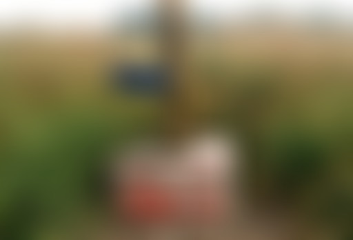 Récréation Sonore : les archives #1 Traces sonores