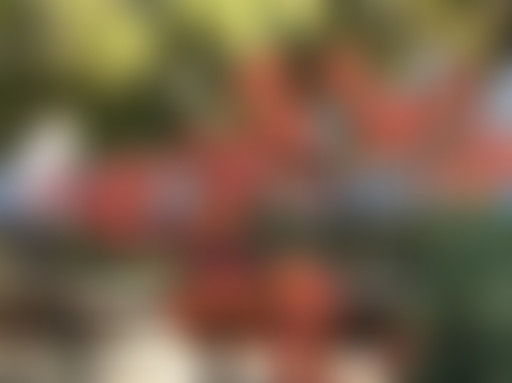 #3 - La Nouvelle Bouquinerie // Le Territoire de l...