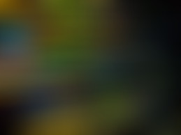 [NumerX] Les développeurs, esquisse d'un portrait...