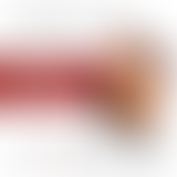 La demi-heure // Entretien avec Romain Jeanticou,...