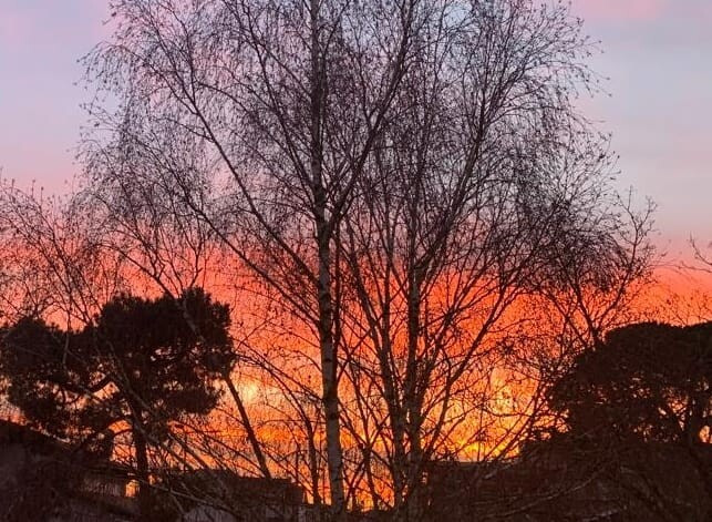 Épisode Voix enchantées épisode 18 - Clémence de l'émission Voix enchantées