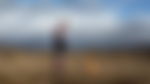 Extérieur Nuit : DES CHIENS, DES FOUS ET DES DRAGO...