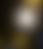 # 7 - La Nouvelle Bouquinerie // Le Territoire de...