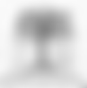 La Bouquinerie : Dans les contrées de Mélianor