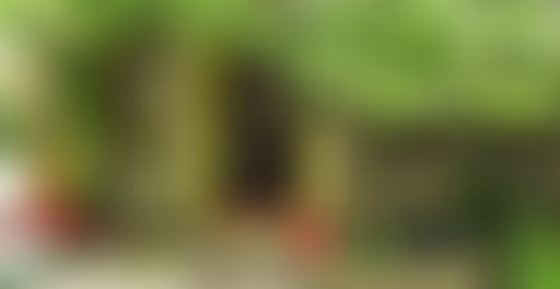 Mappemonde : Kingston 2