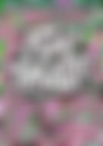 FUN THUGS #1   Jean-Louis Costes & Orsten Groom +...