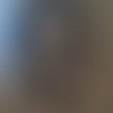 Sandwich Triangle / Voiron