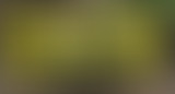 Pièces détachées : Croire en...