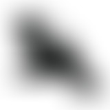 Amplitudes : Home Normal