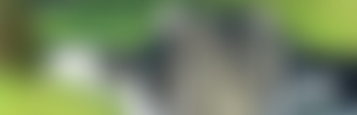 La Bouquinerie : entre Corée et Kosovo