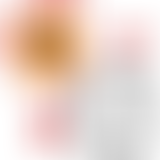 Chablis Hebdo - Le reflet de Chablis