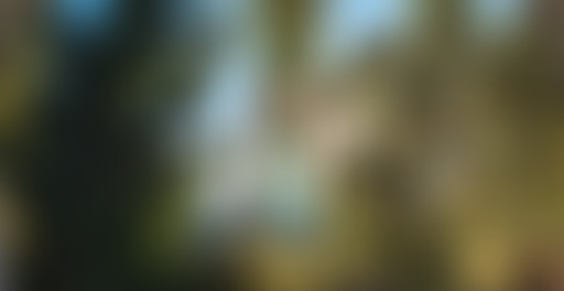 Mappemonde : Portland