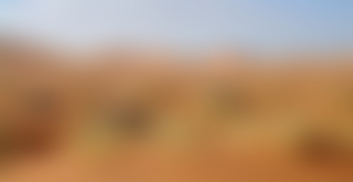 Mappemonde : Sahara
