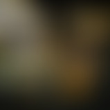 La Matinale du 15/01/15 - Sons et Imbéciles heureu...