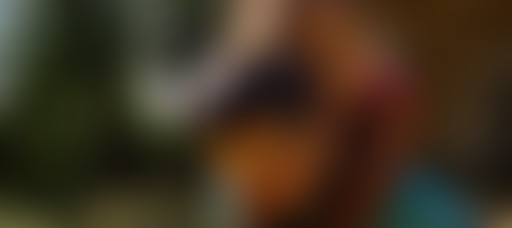 Extérieur Nuit # Gladiateur et Prophète