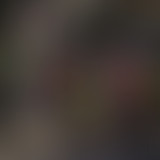 Récréation sonore : Les Listes # 2 // 28 juin 2020