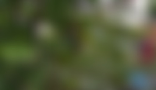 Art'cousmatique #10 Alice Kudlak