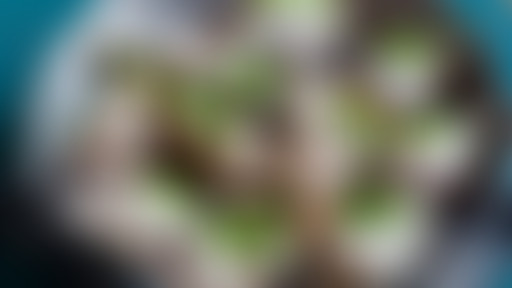 Chablis Hebdo // Bouffe-moi le bulot sur la plage...