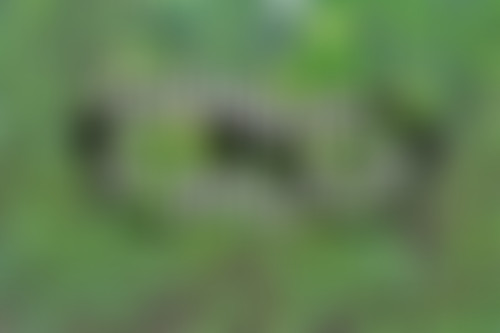 CJB // L'enquête sur les enquêtes