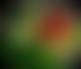 Alimentaire mon cher Watson : La raw food