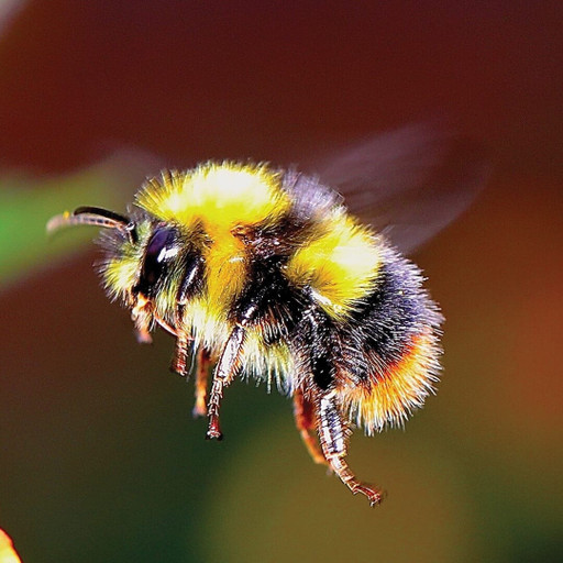 Épisode Amplitudes : Drone de l'émission Amplitudes