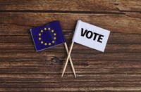 Une réforme pour insuffler un nouvel élan aux élections européennes - EuropaNova