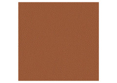 Ted Terracotta