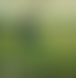 37°2 / Nanda, le pouvoir des mots