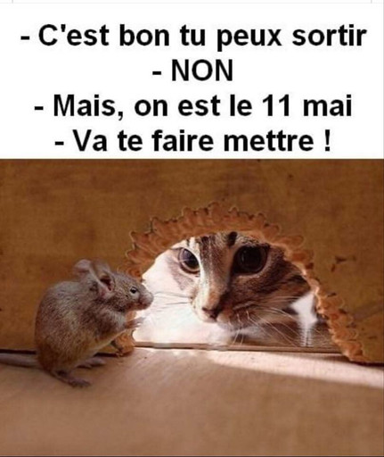 Épisode 23/04 : comme un mariage de boomers de l'émission En Scred