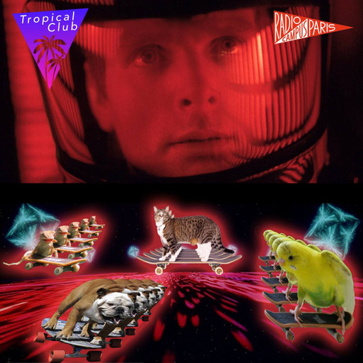 Épisode Tropical Club : Skaterboy et pop punk // 20.01 de l'émission Naufrage à Waikiki