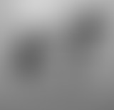 Récréation Sonore : les loups !