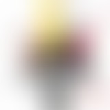 Pièces détachées : E-réèl