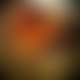 La Petite Bouffe #5 - La charlotte de Marianne