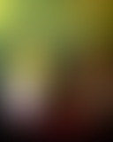 De l’Italie à l’Amérique latine Rose Bonbon & Géla...