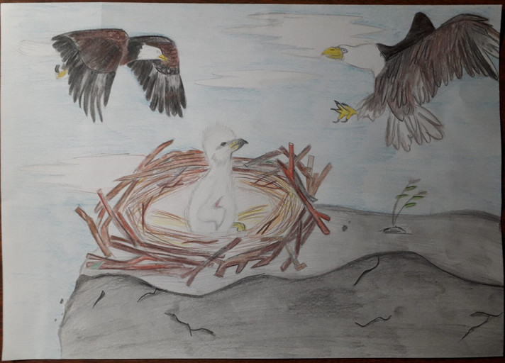 Épisode Protection de l'enfance et souveraineté tribale au... de l'émission Les Voix du Crépuscule