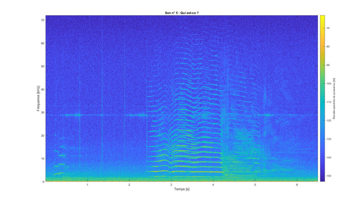 Épisode Mercredi ! Du bruit sous la mer de l'émission Mercredi !