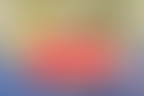 Chablis Hebdo // Un chablis-rondelle