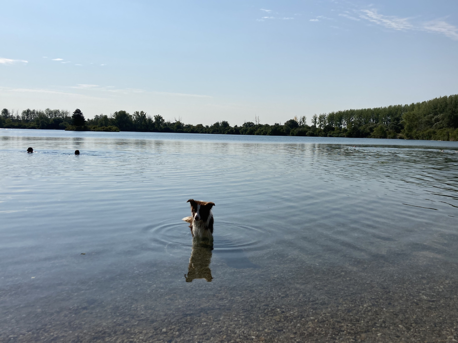 © Frédéric Grellier L'accueil à la façon des Carpates - Partie 2