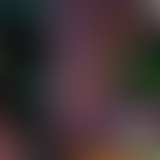 Flagrant Soul : L'âge d'or de la B.O. rap