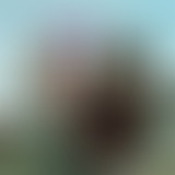 Requiem Pour Un Twister: le souffle de la Soul