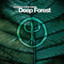 Deep Forest • Sweet Lullaby