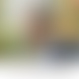 La demi-heure // Loi programmation des finances pu...