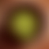 La Petite Bouffe #36 - Le baghali ghatogh de Beber...