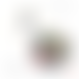 MUSIQUE HYBRIDES : LES GRAMACKS