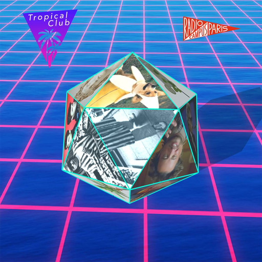 Épisode Le jeu de la musique et du hasard de l'émission Naufrage à Waikiki