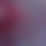 BRTZ Podcast / Les Frères Pastor